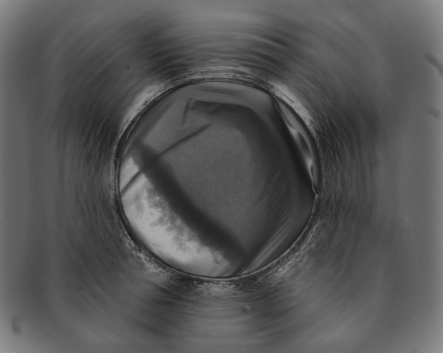 X0000091460994200709131730