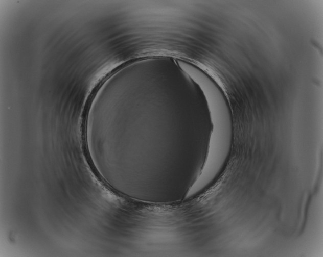 X0000091460995200709131730