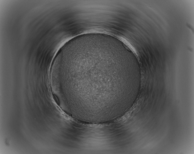 X0000091460996200709131730