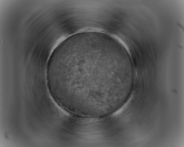X0000091460997200709131730