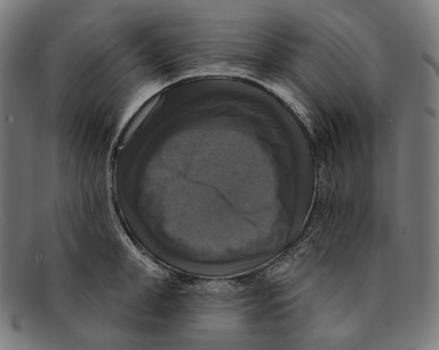 X0000091460998200709131730