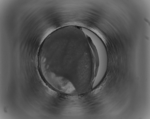 X0000091460999200709131730