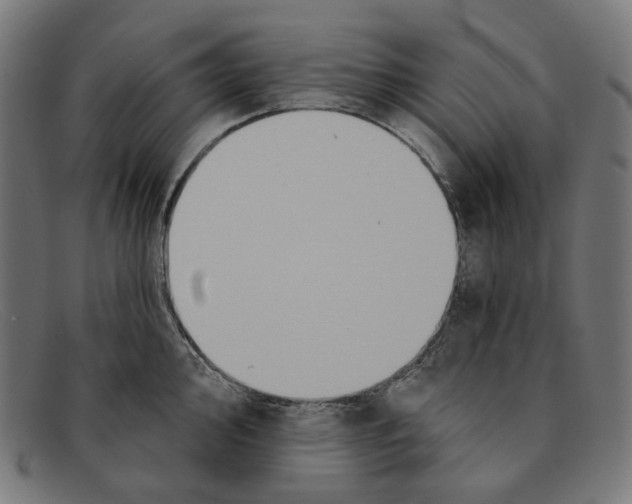 X0000091461000200709131730