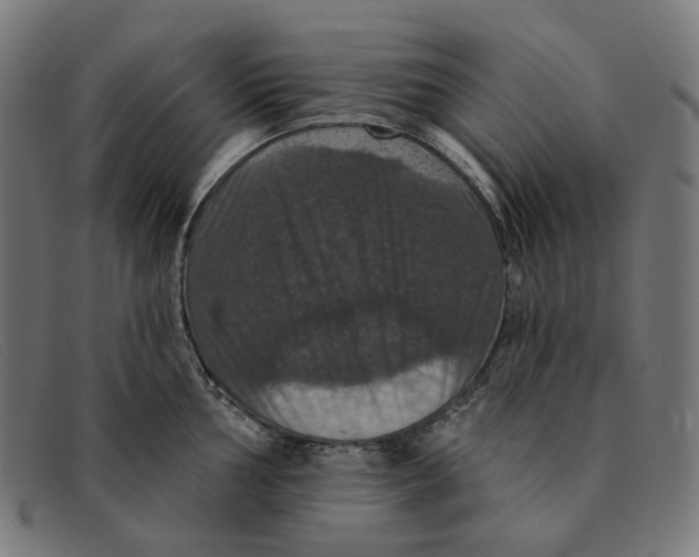 X0000091461002200709131730