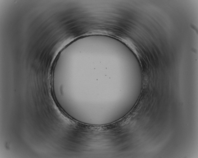 X0000091461003200709131730