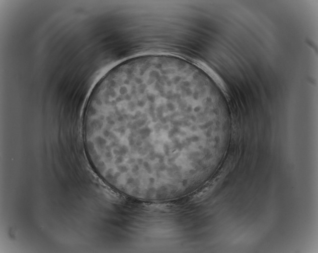 X0000091461004200709131730