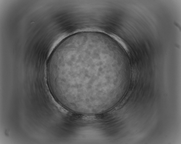 X0000091461006200709131730
