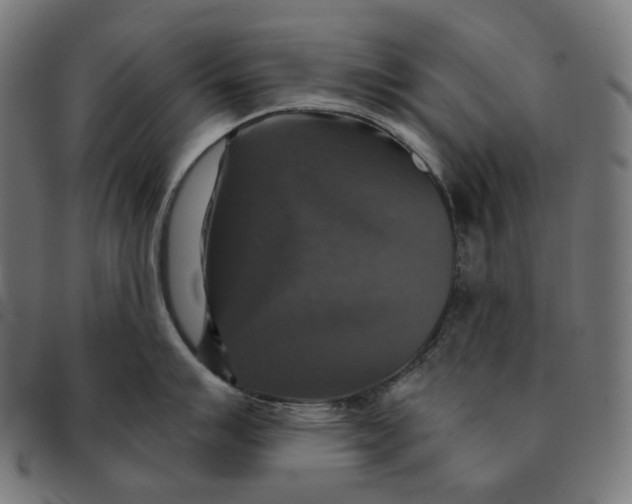 X0000091461007200709131730