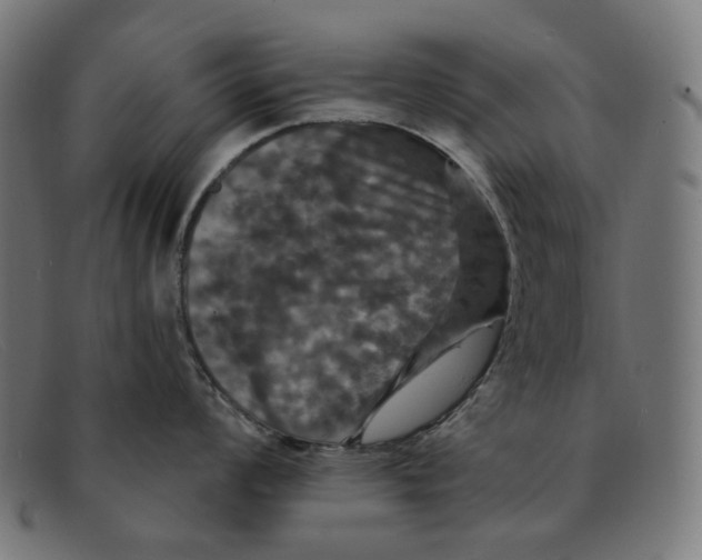 X0000091461008200709131730
