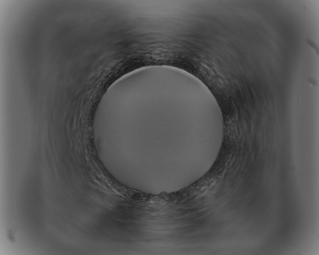 X0000091461009200709131729