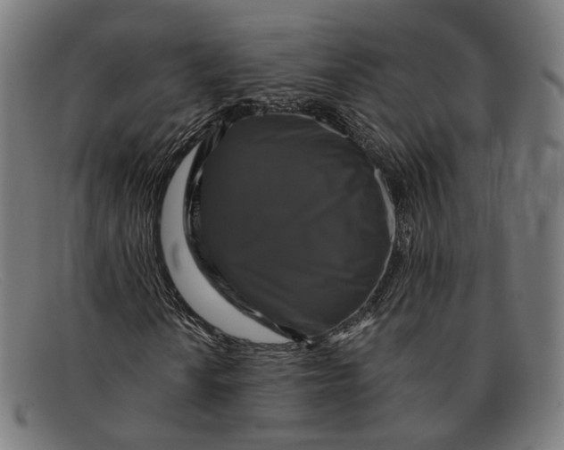 X0000091461010200709131729