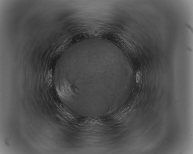 X0000091461011200709131729