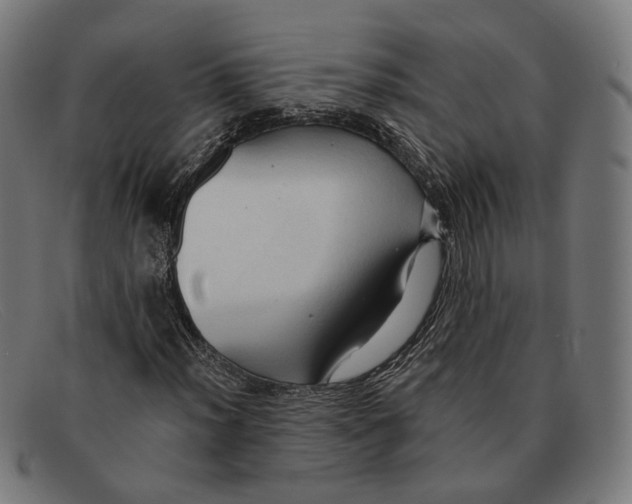 X0000091461012200709131729