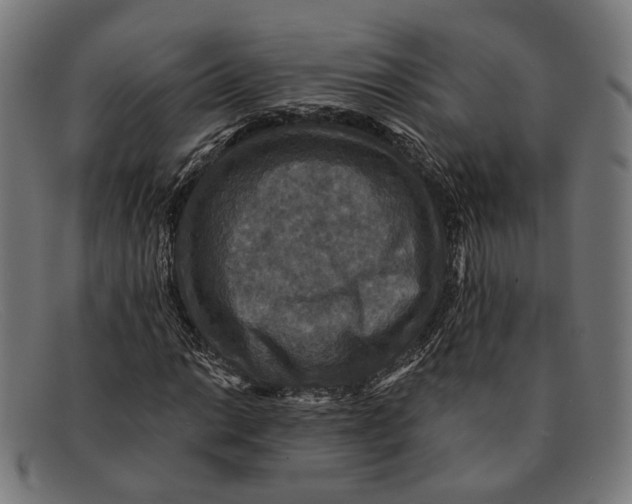 X0000091461014200709131729