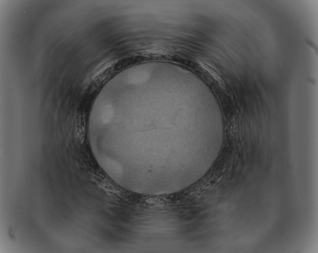 X0000091461015200709131730