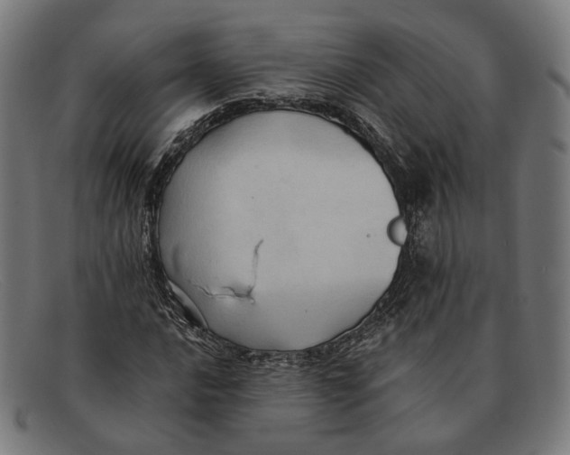 X0000091461016200709131730