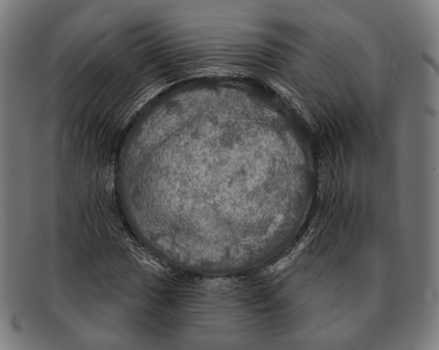 X0000091461017200709131730