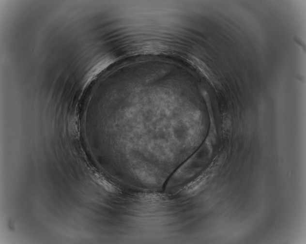 X0000091461018200709131730