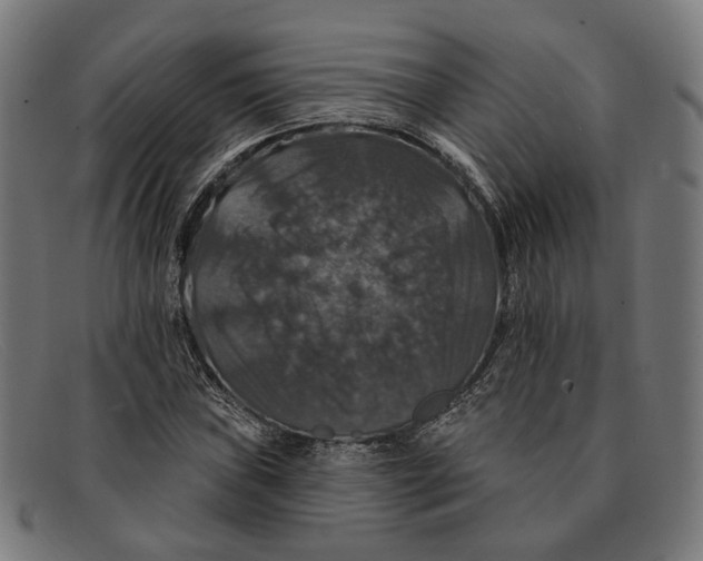 X0000091461019200709131730