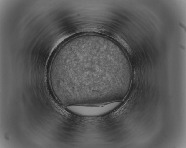 X0000091461020200709131730