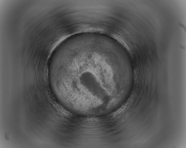X0000091461021200709131730