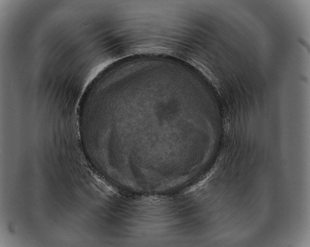 X0000091461022200709131730