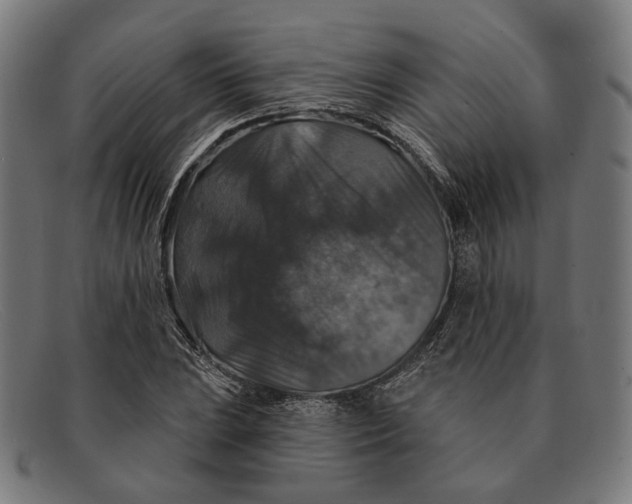 X0000091461023200709131730