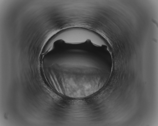 X0000091461024200709131730