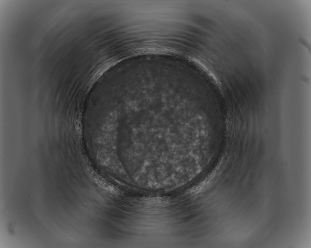 X0000091461025200709131730
