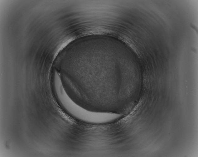 X0000091461026200709131730