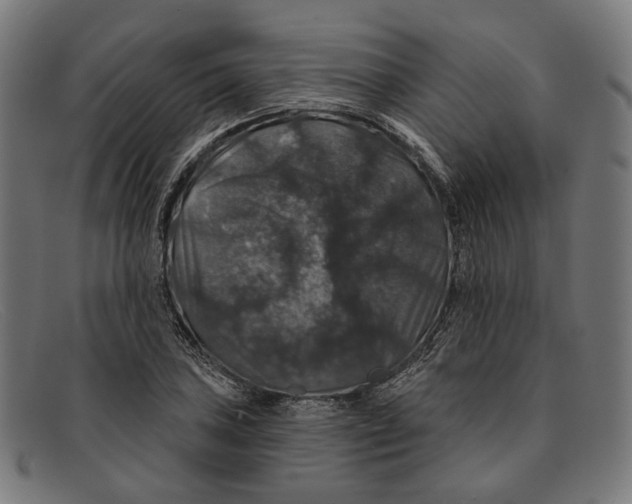 X0000091461027200709131730