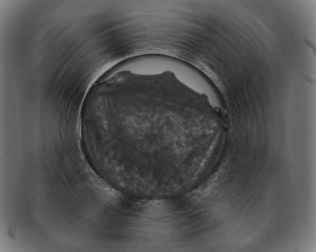 X0000091461028200709131730