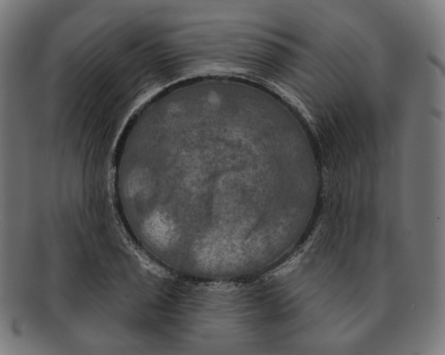 X0000091461029200709131730