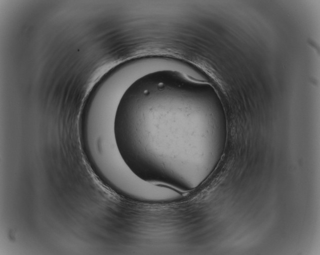 X0000091461030200709131730