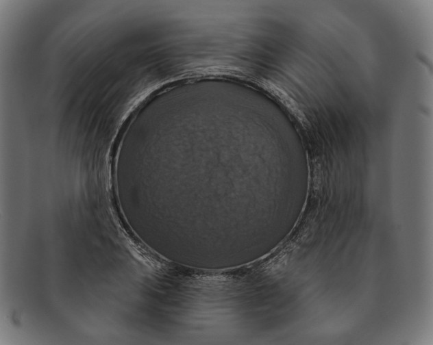 X0000091461031200709131730