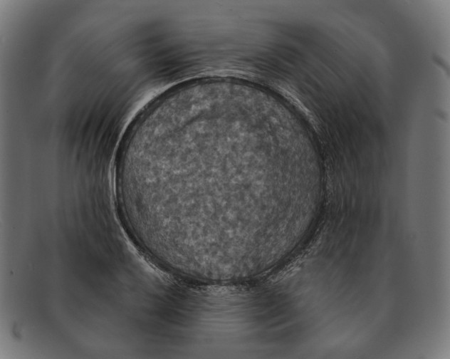 X0000091461032200709131730