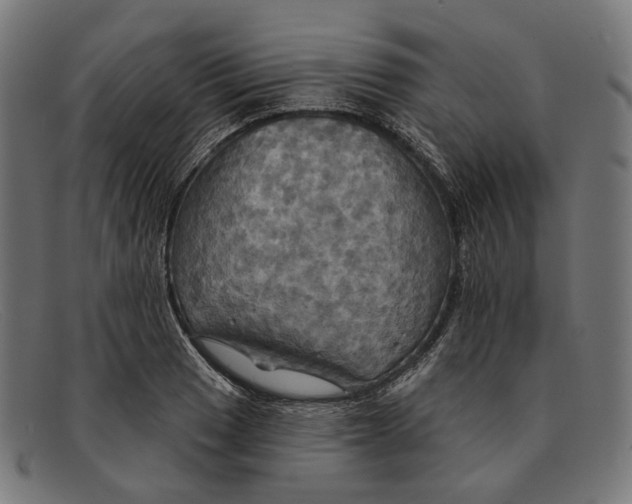 X0000091461033200709131730