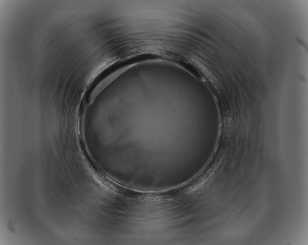X0000091461034200709131730