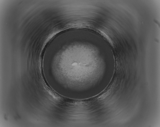 X0000091461035200709131730