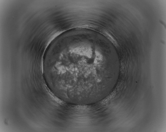 X0000091461036200709131730