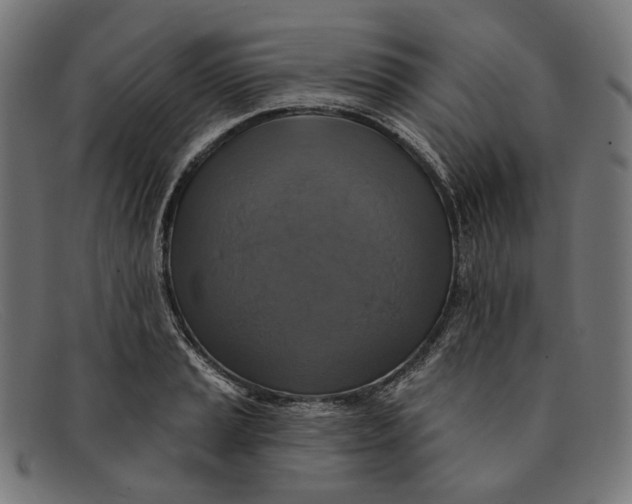 X0000091461037200709131730