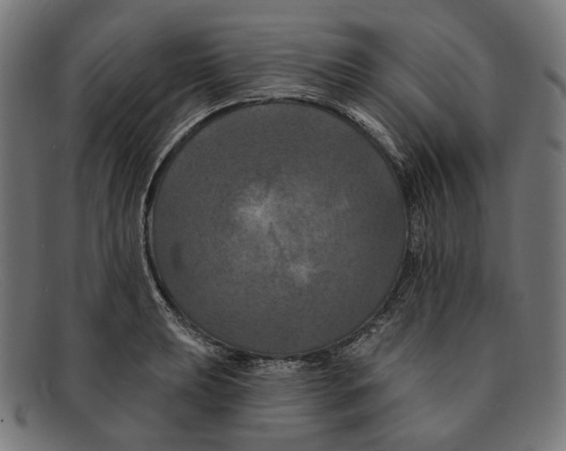 X0000091461039200709131730