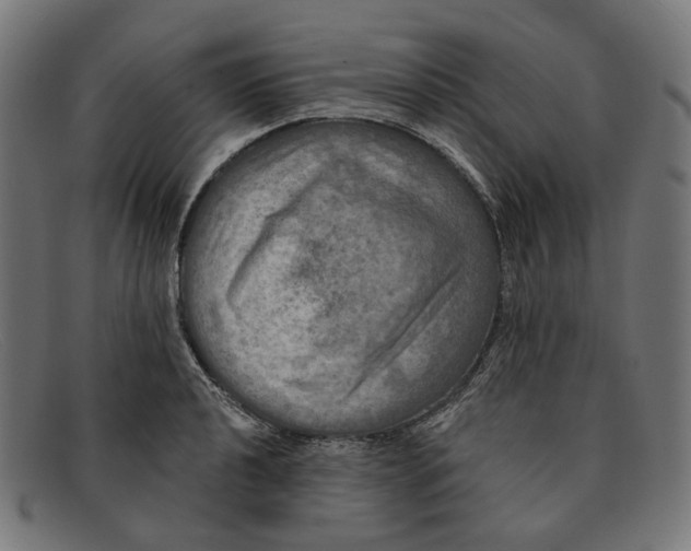 X0000091461040200709131730