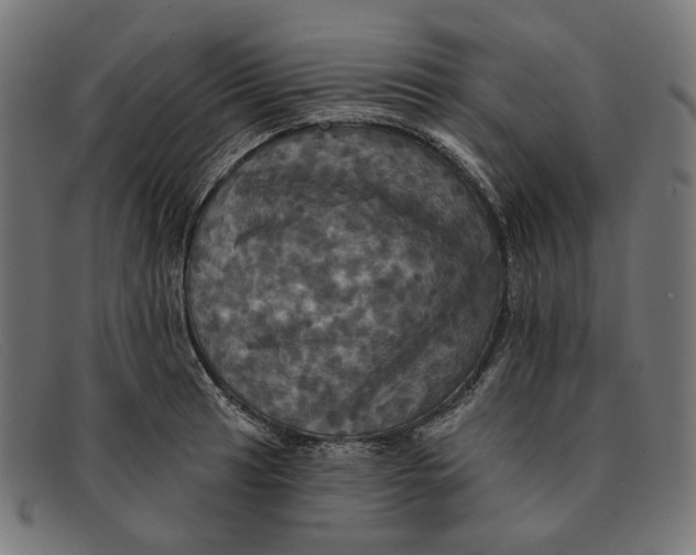 X0000091461041200709131730
