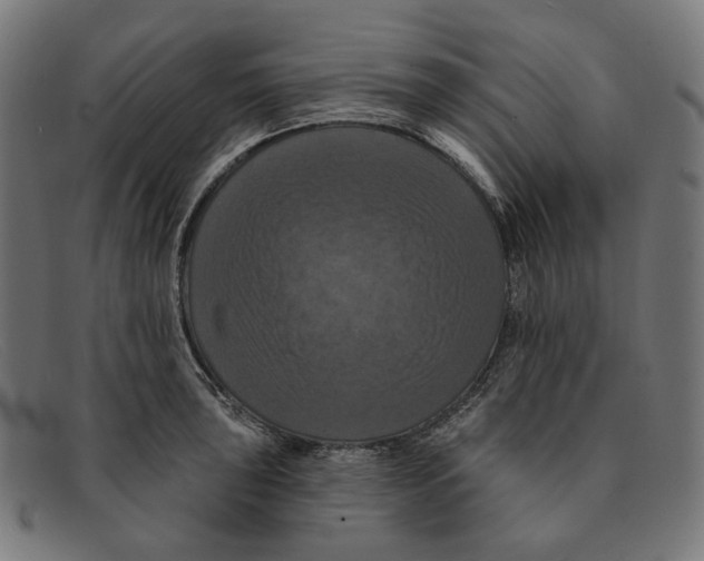X0000091461043200709131730