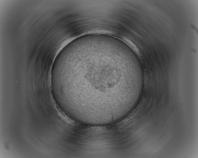 X0000091461044200709131730
