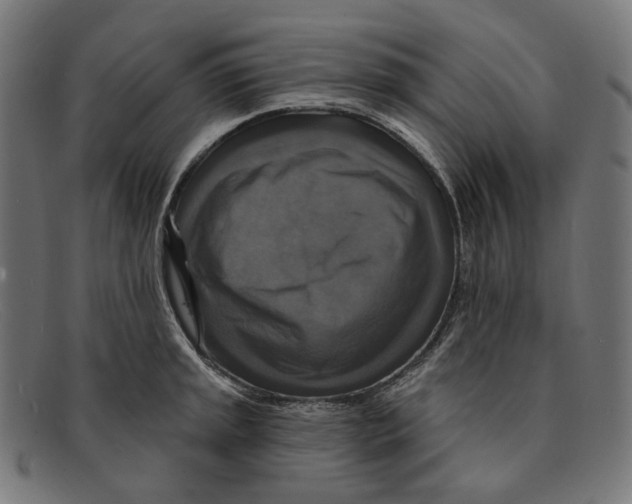 X0000091461045200709131730