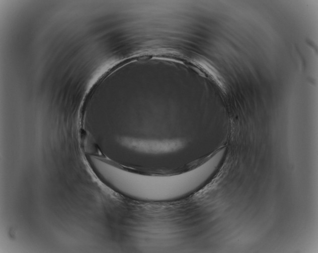 X0000091461046200709131730