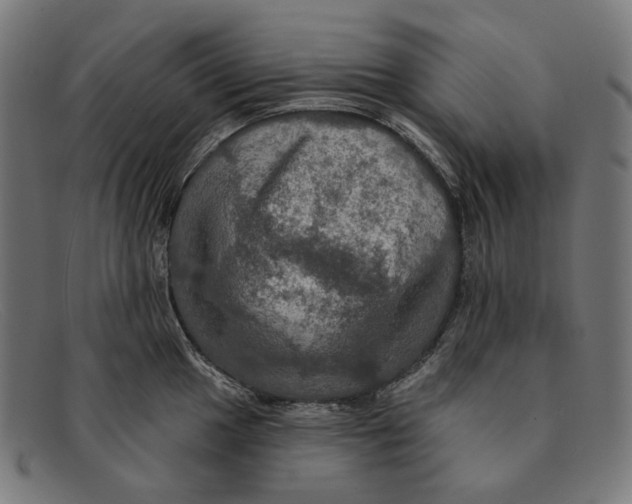 X0000091461049200709131730