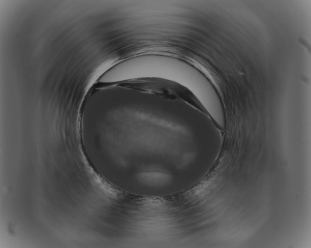 X0000091461050200709131730